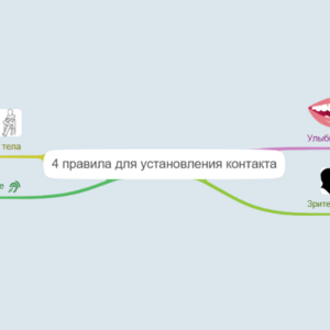 4 правила для установления контакта 