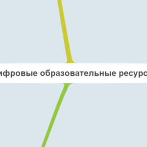 Цифровые образовательные ресурсы