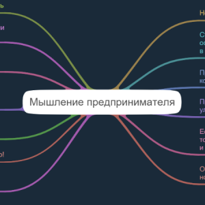 Мышление предпринимателя