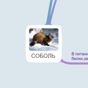 Карта 3