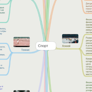 Спорт