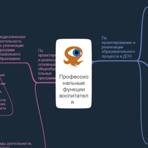 Профессиональные функции воспитателя