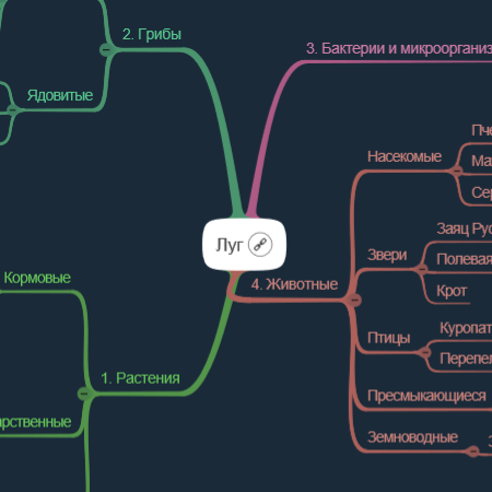 Ментальная карта луга
