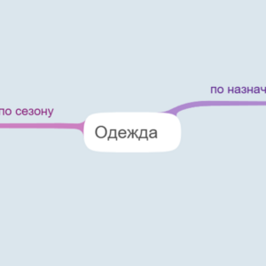 одежда