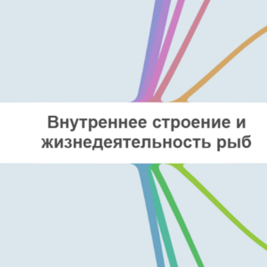 Карта 2