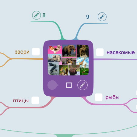 Разнообразие животных