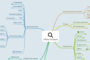 Обзор IOctopus