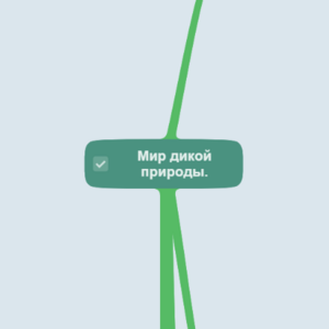 Мир дикой природы